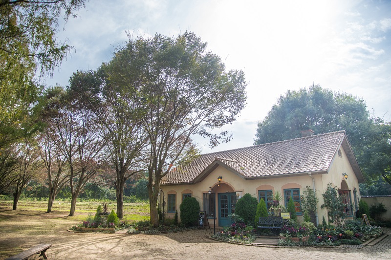 茨城土産のお店