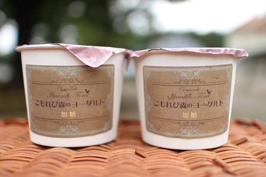 自家製ヨーグルト